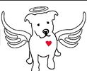 Sebring Angels Animal Rescue