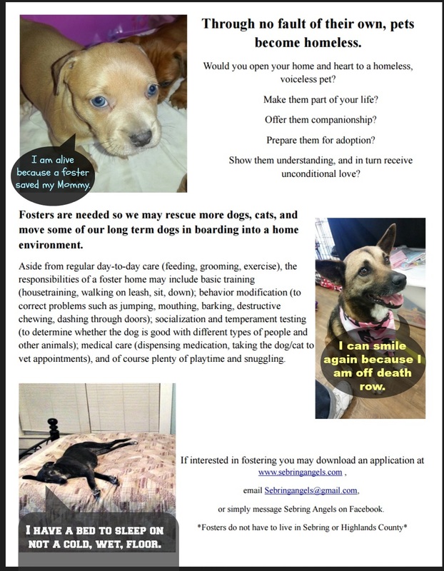 Help Us - Sebring Angels Animal Rescue